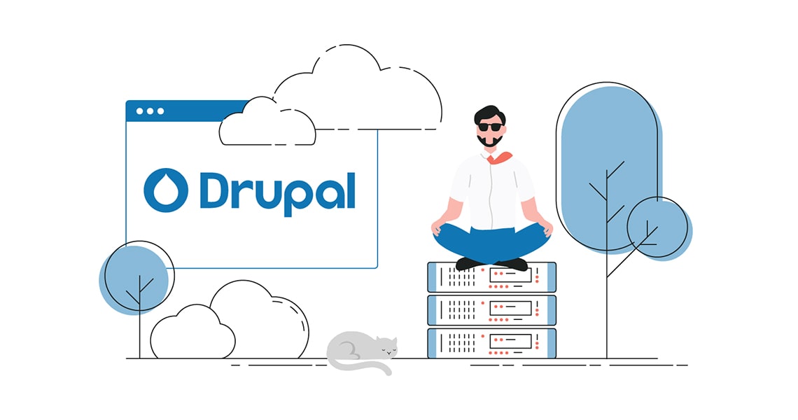 Drupal Hosting Services